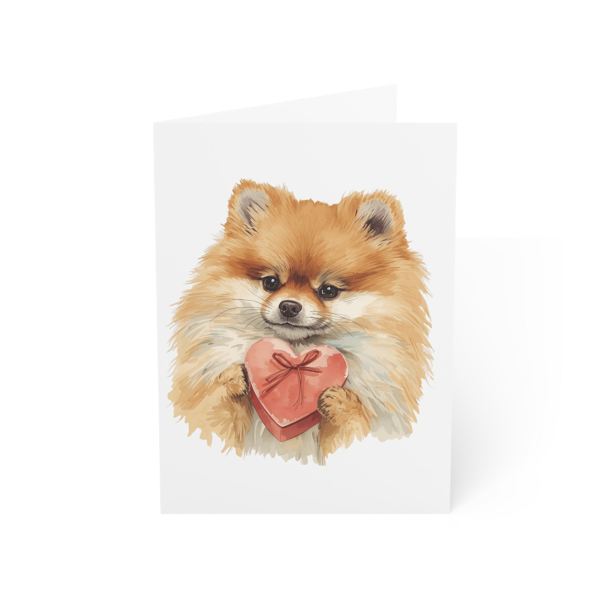 Illustration of a pomeranian dog holding a heart-shaped box on a white background.